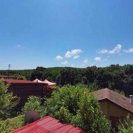 סינמורץ Guest House Fanny מראה חיצוני תמונה